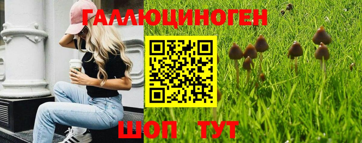 Галлюциногенные грибы Magic Shrooms  наркошоп  Псилоцибиновые грибы мицелий  Сердобск  Вход с VPN 
